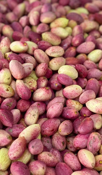 پسته تازه یک محصول استثنایی