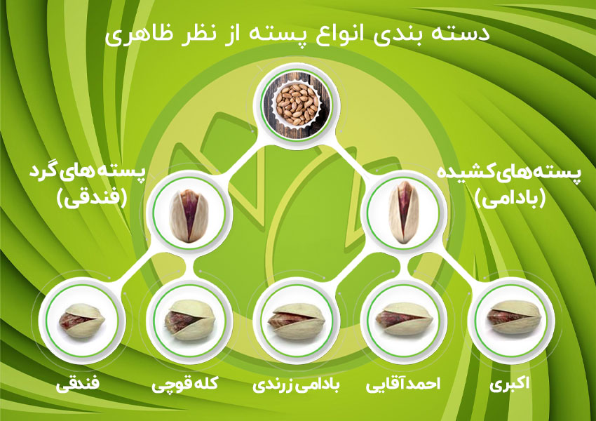 اینفوگرافیک پسته های برتر