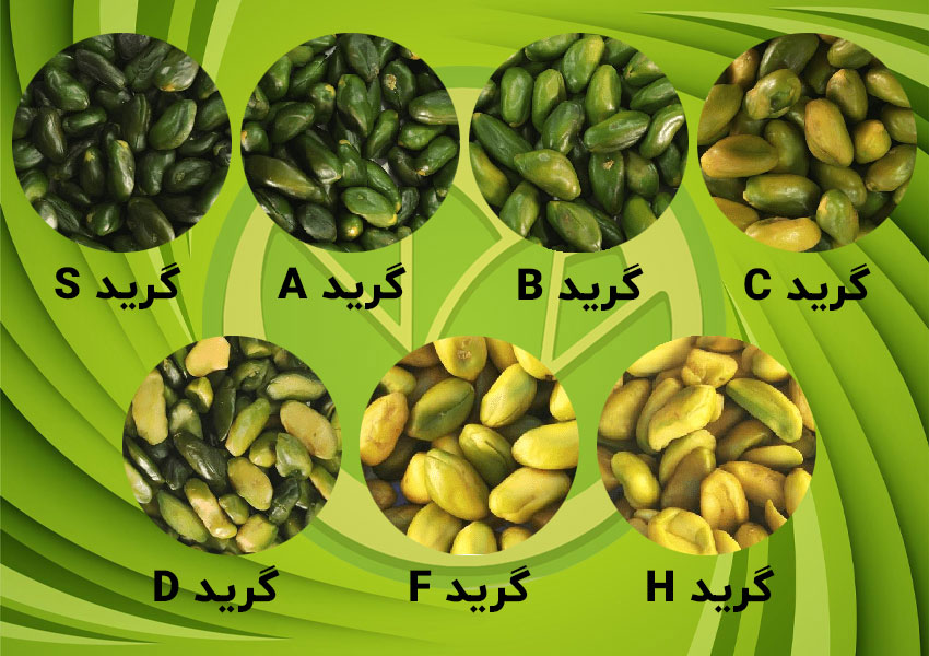 انواع پسته دو پوست کدامند؟