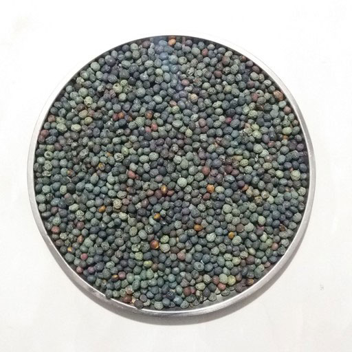 میوه پسته کوهی چیست