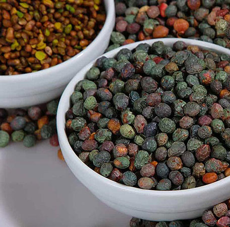 خواص پسته کوهی چیست