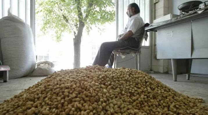 نگهداری از پسته برای شب عید