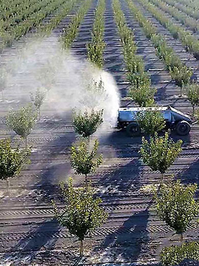 استفاده از سم های شیمیایی برای پیشگیری از آفات پسته