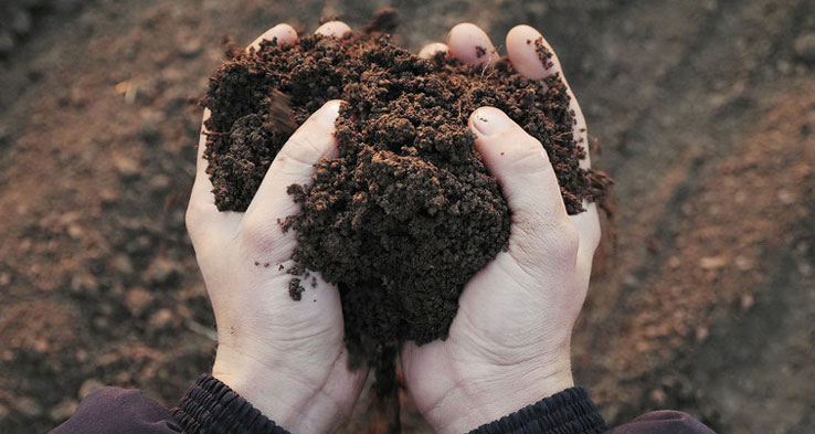 خصوصیات خاک مناسب پسته کاری