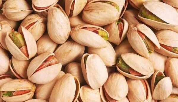 انواع پسته و فراوانی آنها