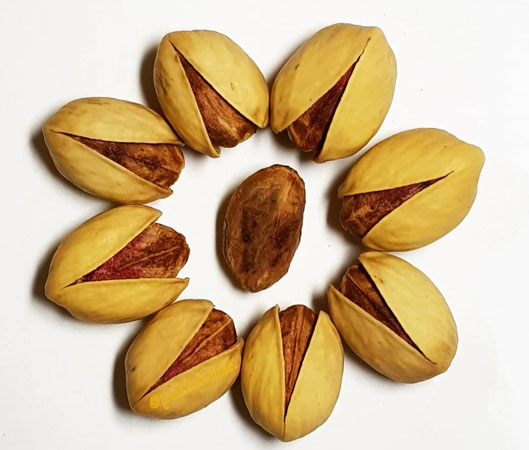 قیمت پسته اوحدی چقدر است!؟