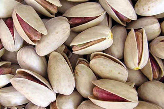 درخت پسته سفید نوق و ویژگی های آن