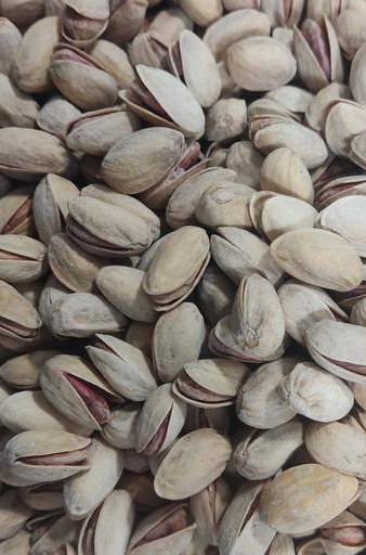 فواید و مزایای پسته عباسعلی