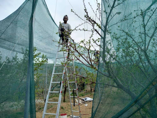 مزایای استفاده از توری سایبان در باغات پسته