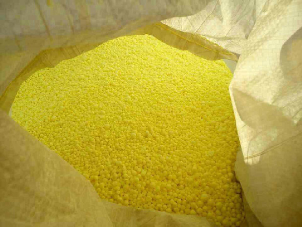 روش استفاده از گوگرد برای پسته