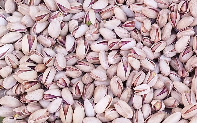 انواع پسته ها و ویژگی های مختلف آنها