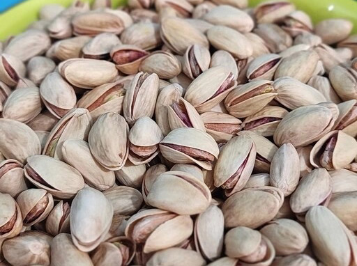 ویژگی های مهم پسته خنجری برای کاشت