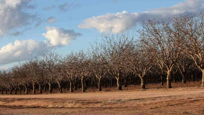 کودهای معدنی برای استفاده زمستانه