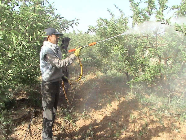 آفت کش روغن ولک چیست
