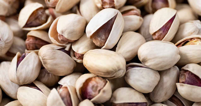 نوع پسته کله قوچی چیست