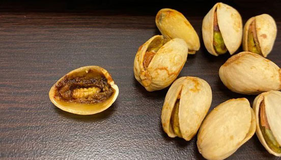 جلوگیری از کرم زدن پسته خشک
