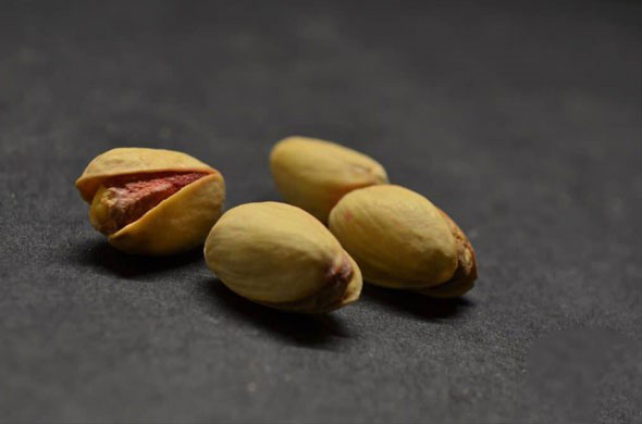 جلوگیری از کرم زدن پسته و شرایط نگهداری از آن