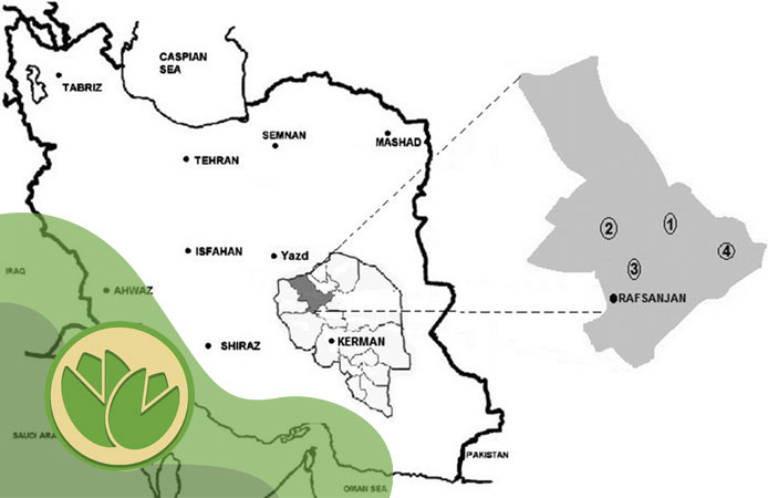 موقیعت جغرافیایی رفسنجان